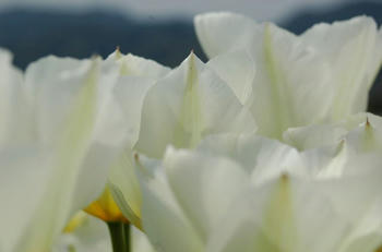 100426-1.jpg