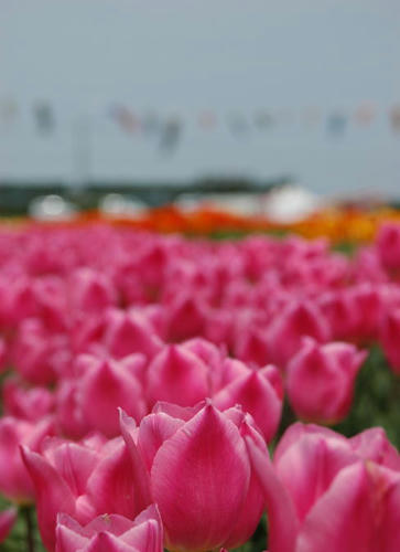 100426-2.jpg