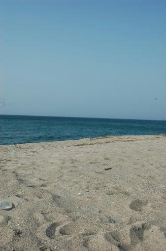 100504-1.jpg