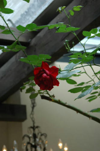 100506-4.jpg