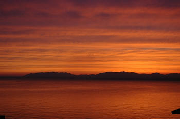 DSC_0064.jpg