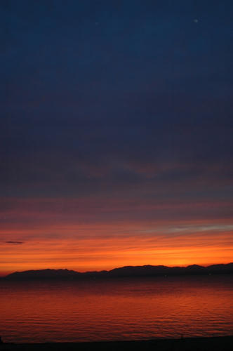 DSC_0077.jpg