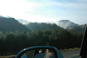 DSC_0035.JPG