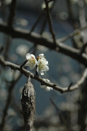 120329-1.jpg
