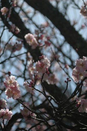 120329-2.jpg