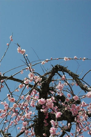 120329-4.jpg