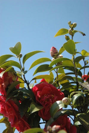 120329-5.jpg