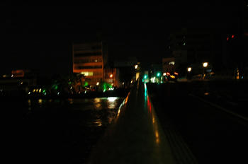 DSC_0223.JPG
