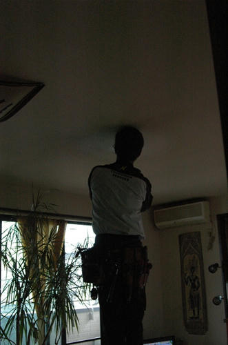 DSC_0412.JPG