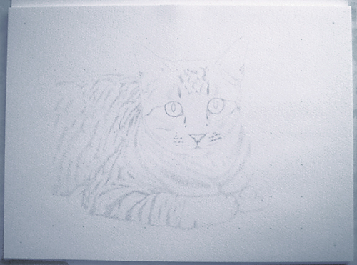 三歩下がって二歩進む ミクストメディアで猫を描く 第３弾 ２ よし 絵を描こう