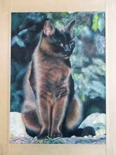 見積もりは大体オーバーする 色画用紙に猫を描く ４ よし 絵を描こう