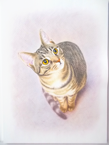 キジトラ猫・4」ができるまで。【メイキング】|よし、絵を描こう。 キジトラ猫・4」ができるまで。【メイキング】|よし、絵を描こう。