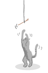 nekonimatatabi.png