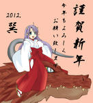 2012_newyear.jpg