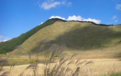 CIMG0815_r2_c2.jpg