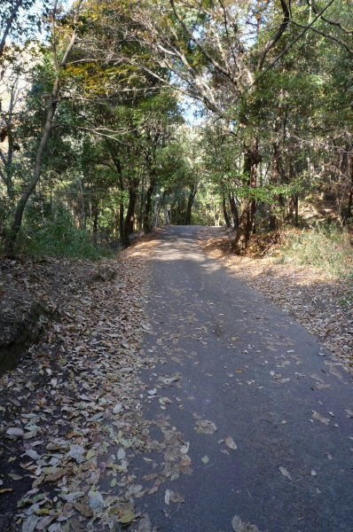 8120803.jpg