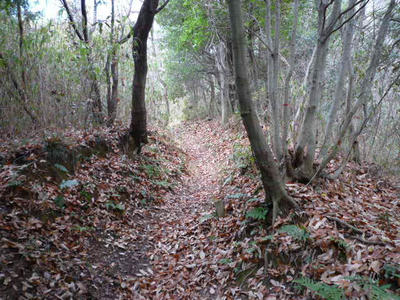 P1000073.JPG