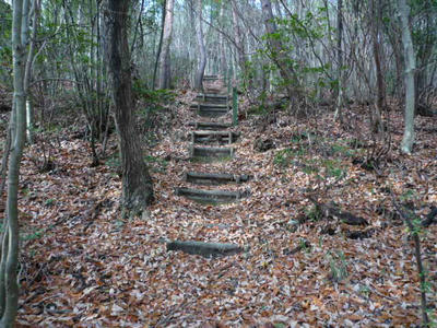 P1000074.JPG