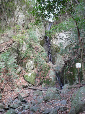 P1000081.JPG