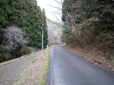 P1000084.JPG
