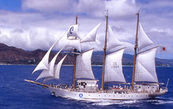 STS AKOGARE