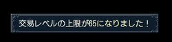 65.jpg