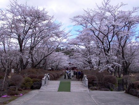 20090423_115848_0.jpg