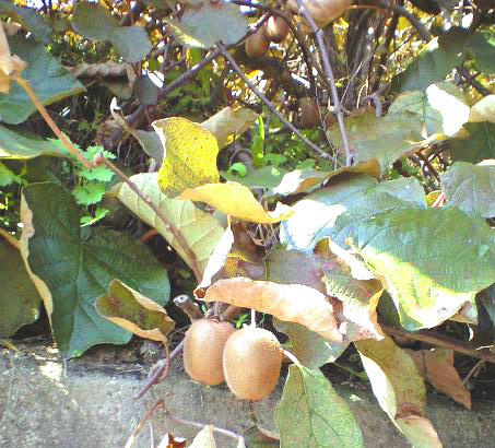 CA3A0078.jpg