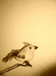 bird.JPG