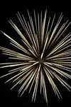 fireworks.JPG