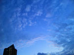 510a92b8.JPG