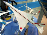 231ee997.jpg