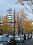 8b8363f2.jpg