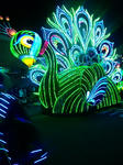 DVC00110.jpg