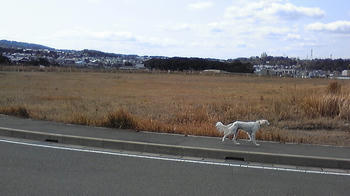 080306_120643.jpg