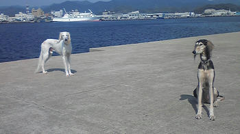 080404_095510.jpg