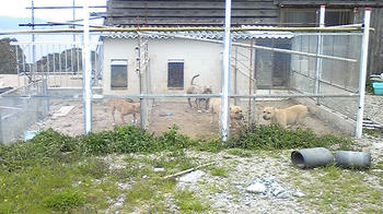 080404_130422.jpg