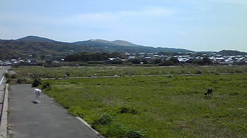 080419_133348.jpg