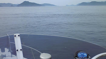 080421_141257.jpg