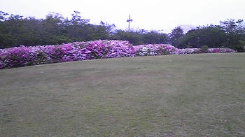 080427_180215.jpg