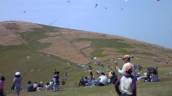 080503_110302.jpg