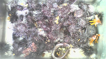 080506_152634.jpg