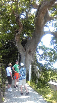 080516_125219.jpg