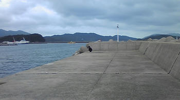 080626_095300.jpg