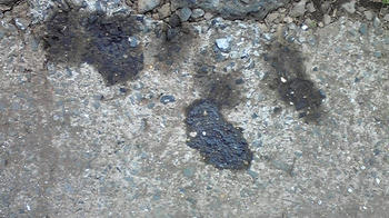 080922_130052.jpg