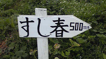 081003_153352.jpg