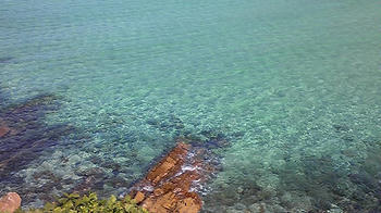 081020_125148.jpg
