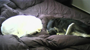 081026_124840.jpg