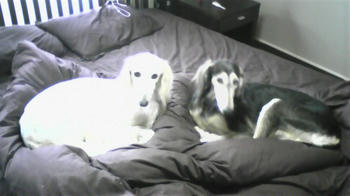 081026_124747.jpg