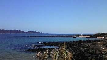081212_113119.jpg